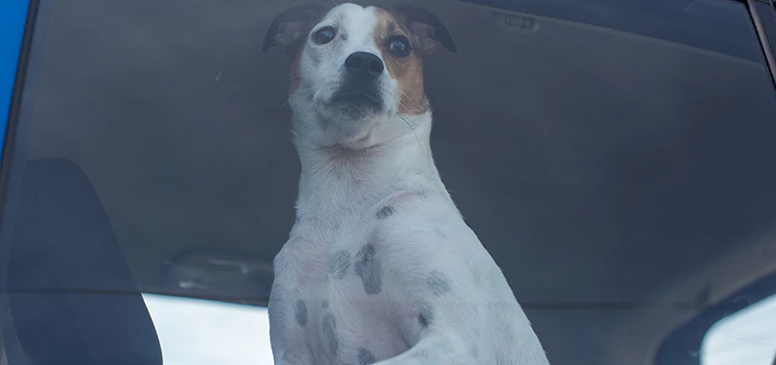 Car Lockout Solutions in Gonzales, California