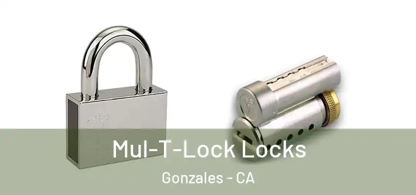  Mul-T-Lock Locks Gonzales - CA