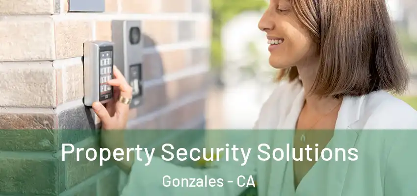  Property Security Solutions Gonzales - CA