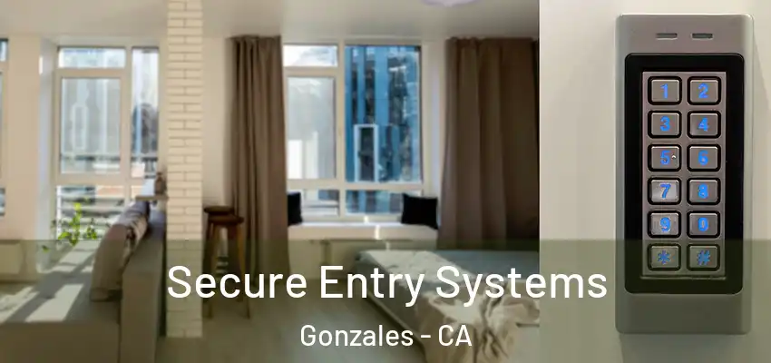 Secure Entry Systems Gonzales - CA